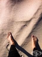 �� ������� ����! ������������ �